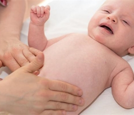 原肠胚有多少个胚层