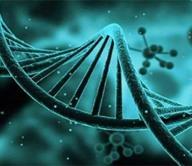 做试管婴儿可以喝大麦若叶青汁吗？