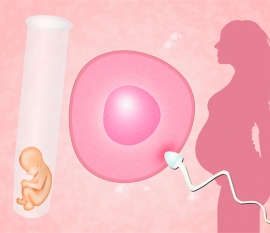 天津试管婴儿费用是多少