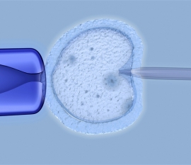 男同性恋圆宝宝梦看这里!赴美试管婴儿这些流程你要知道