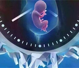 试管移植后第30天症状有哪些，做b超能见胎芽吗